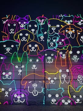 神戸イルミナージュに投稿された画像（2023/11/23）