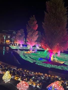 神戸イルミナージュに投稿された画像（2023/11/23）