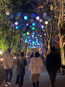 ムーミンバレーパークに投稿された画像（2023/11/23）