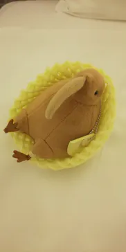 天王寺動物園に投稿された画像（2023/11/23）