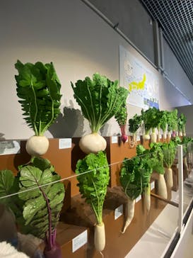 特別展「和食 ～日本の自然、人々の知恵～」に投稿された画像（2023/11/23）