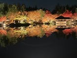 国営昭和記念公園 秋の夜散歩に投稿された画像（2023/11/23）
