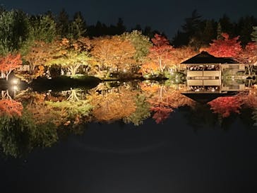 国営昭和記念公園 秋の夜散歩に投稿された画像（2023/11/23）