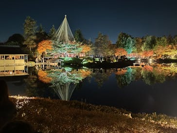 国営昭和記念公園 秋の夜散歩に投稿された画像（2023/11/23）