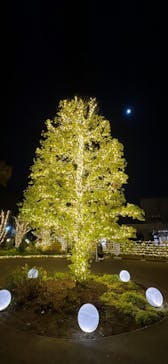 いばらきフラワーパークに投稿された画像（2023/11/23）