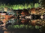 国営昭和記念公園 秋の夜散歩に投稿された画像（2023/11/23）