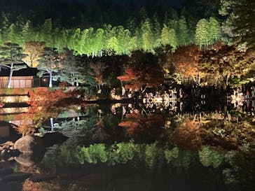 国営昭和記念公園 秋の夜散歩に投稿された画像（2023/11/23）