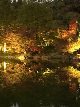 国営昭和記念公園 秋の夜散歩に投稿された画像（2023/11/23）