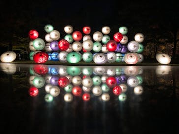 国営昭和記念公園 秋の夜散歩に投稿された画像（2023/11/23）