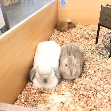 Moff アニマル カフェ イーアス 高尾店に投稿された画像（2023/11/23）