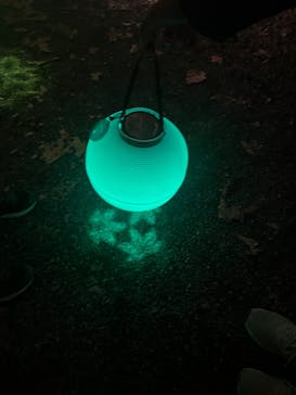 NAKED 紅葉の新宿御苑2023に投稿された画像（2023/11/23）