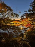国営昭和記念公園 秋の夜散歩に投稿された画像（2023/11/23）