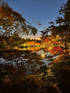 国営昭和記念公園 秋の夜散歩に投稿された画像（2023/11/23）