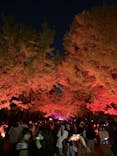 国営昭和記念公園 秋の夜散歩に投稿された画像（2023/11/23）