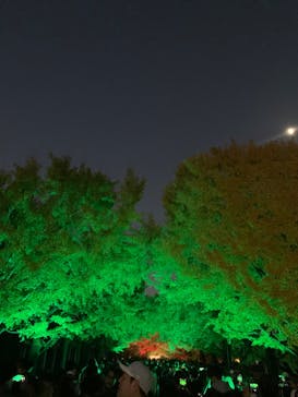 国営昭和記念公園 秋の夜散歩に投稿された画像（2023/11/23）