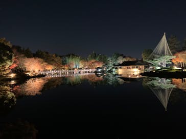 国営昭和記念公園 秋の夜散歩に投稿された画像（2023/11/23）