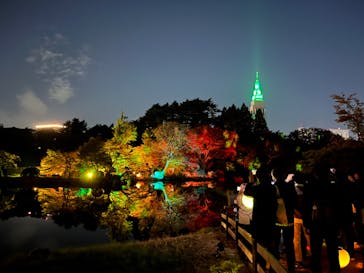 NAKED 紅葉の新宿御苑2023に投稿された画像（2023/11/23）