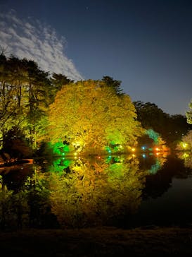 NAKED 紅葉の新宿御苑2023に投稿された画像（2023/11/23）