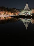 国営昭和記念公園 秋の夜散歩に投稿された画像（2023/11/23）
