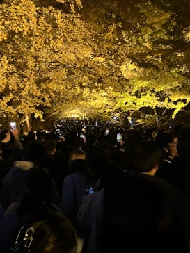 国営昭和記念公園 秋の夜散歩に投稿された画像（2023/11/23）