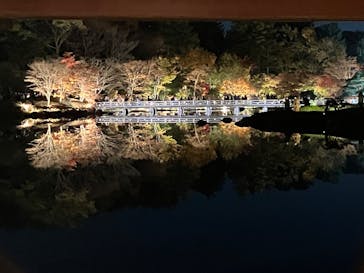 国営昭和記念公園 秋の夜散歩に投稿された画像（2023/11/23）