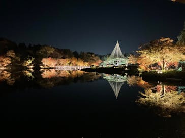 国営昭和記念公園 秋の夜散歩に投稿された画像（2023/11/23）