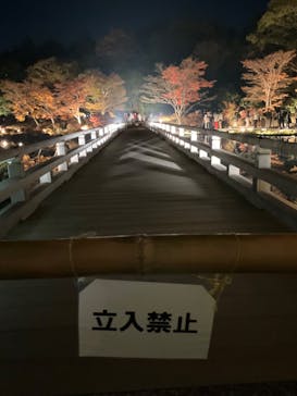 国営昭和記念公園 秋の夜散歩に投稿された画像（2023/11/23）