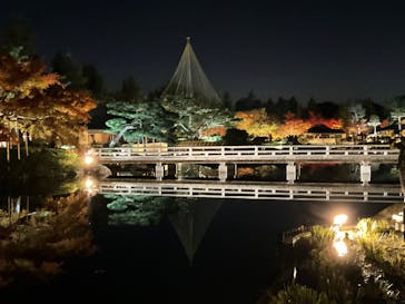 国営昭和記念公園 秋の夜散歩に投稿された画像（2023/11/23）