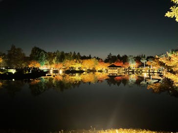 国営昭和記念公園 秋の夜散歩に投稿された画像（2023/11/23）