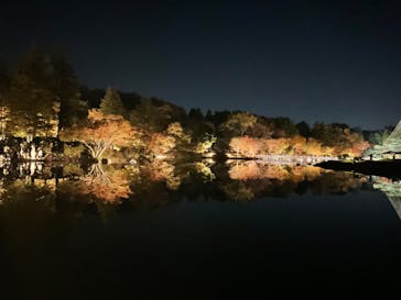国営昭和記念公園 秋の夜散歩に投稿された画像（2023/11/23）