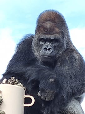 名古屋市東山動植物園に投稿された画像（2023/11/23）