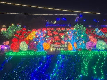 伊豆ぐらんぱる公園に投稿された画像（2023/11/23）