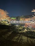 国営昭和記念公園 秋の夜散歩に投稿された画像（2023/11/23）