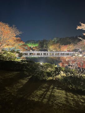 国営昭和記念公園 秋の夜散歩に投稿された画像（2023/11/23）