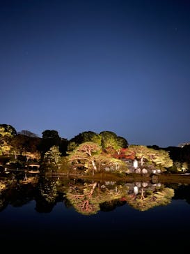 六義園に投稿された画像（2023/11/23）