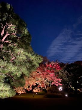 六義園に投稿された画像（2023/11/23）