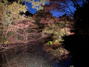 六義園に投稿された画像（2023/11/23）