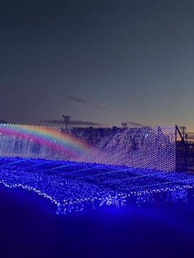 東京メガイルミに投稿された画像（2023/11/23）