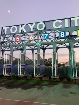 東京メガイルミに投稿された画像（2023/11/23）