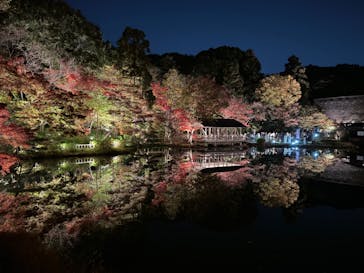名古屋市東山動植物園に投稿された画像（2023/11/23）