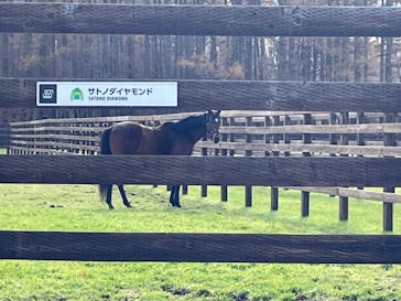 ノーザンホースパークに投稿された画像（2023/11/23）