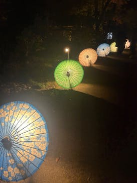 国営昭和記念公園 秋の夜散歩に投稿された画像（2023/11/23）