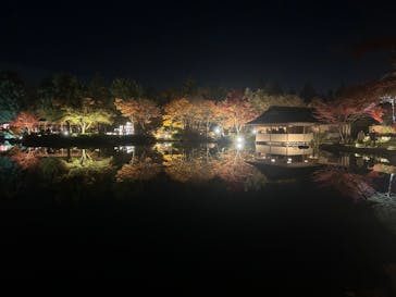 国営昭和記念公園 秋の夜散歩に投稿された画像（2023/11/23）