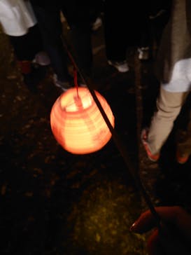 六義園に投稿された画像（2023/11/23）