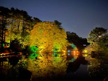 NAKED 紅葉の新宿御苑2023に投稿された画像（2023/11/23）