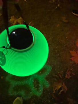 NAKED 紅葉の新宿御苑2023に投稿された画像（2023/11/23）