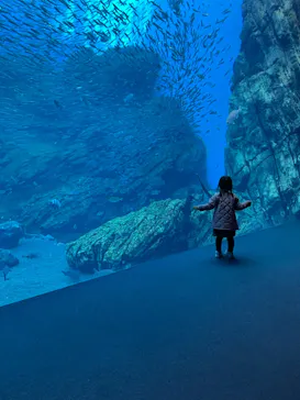 仙台うみの杜水族館に投稿された画像（2023/11/23）