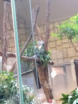 名古屋市東山動植物園に投稿された画像（2023/11/23）