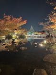 国営昭和記念公園 秋の夜散歩に投稿された画像（2023/11/23）