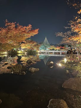 国営昭和記念公園 秋の夜散歩に投稿された画像（2023/11/23）